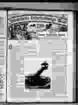 0_0