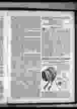 0_6