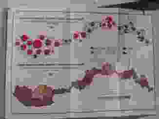 0_135