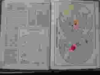 0_239