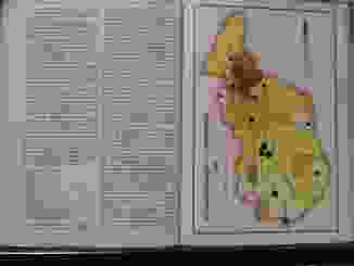 0_250