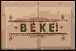 0_33