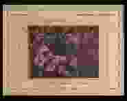 0_37