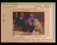 0_41