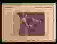 0_46