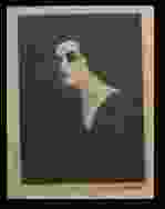 0_34