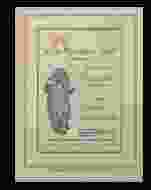 0_4