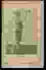0_42